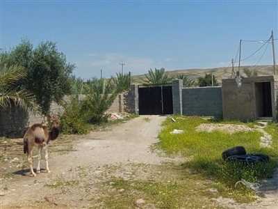فروش زمین جهت کسب و کار تولیدی یا دامپروری در روستای باغدشت بخش جره و بالاد
