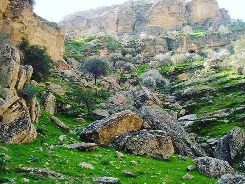 جاذبه های گردگشری کازرون