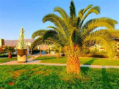درباره شهر کازرون و ۱۸ مکان دیدنی آن چه می‌دانید؟