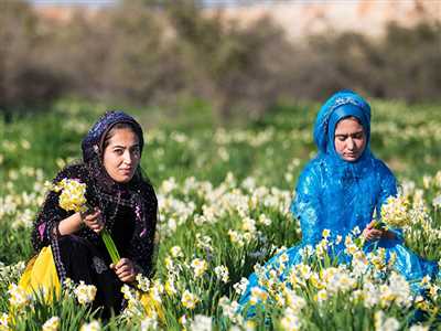 درباره شهر کازرون و ۱۸ مکان دیدنی آن چه می‌دانید؟