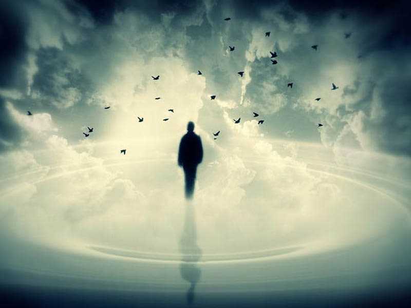 حس پرواز در پرم سبز است ـ‌ سيد محمدعلي آل‌مجتبي