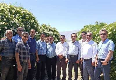 برگزاری اردوی تفریحی یک روزه به مقصد میمند فارس ویژه کارکنان حوزه سلامت کازرون