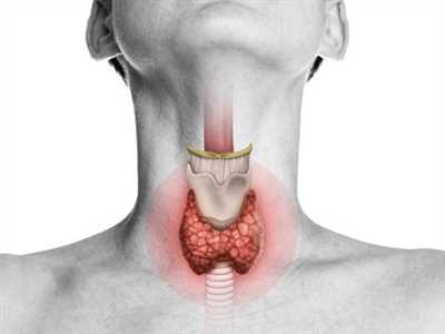 نکاتی در زمینه تغذیه و سلامت غده تیروئید