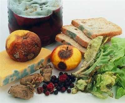 بیشتر بدانیم/راهکارهای جلوگیری از آلودگی مواد غذایی در بحران