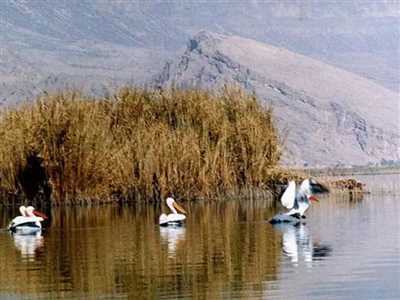 دریاچه پریشان کازرون