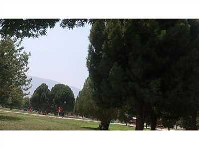 بوستان مردانی کازرون