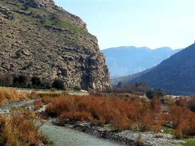 تنگ چوگان