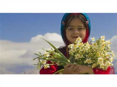 نرگس زار کازرون
