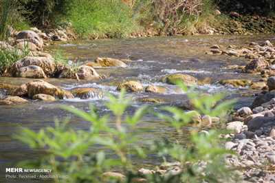رودخانه شاپور