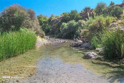رودخانه شاپور