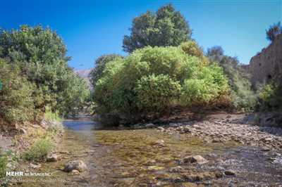 رودخانه شاپور