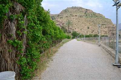 نقش برجسته تنگ چوگان کازرون