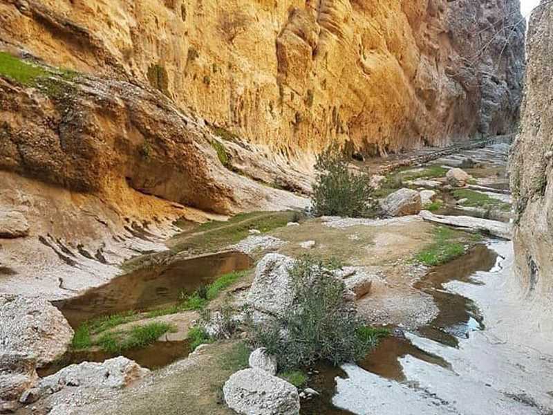 تنگ جیز کازرون