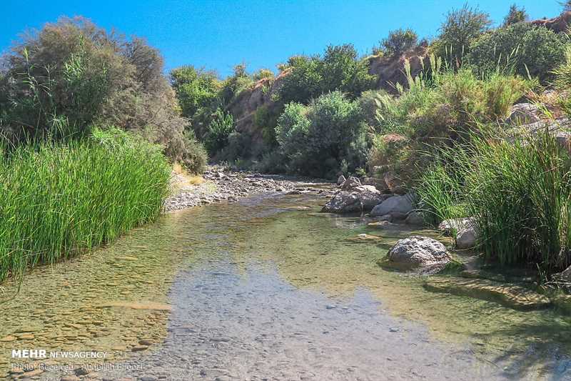 رودخانه شاپور 