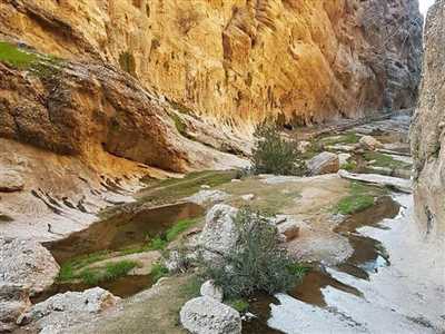 تنگ جیز کازرون