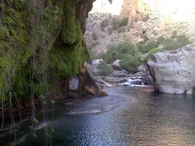 چشمه ساسان کازرون