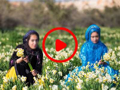 ترانه محلی " شهر ما کازرون " آقای منصور نیک زاد - شیراز